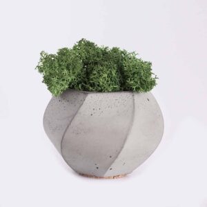 Store plant4 free img